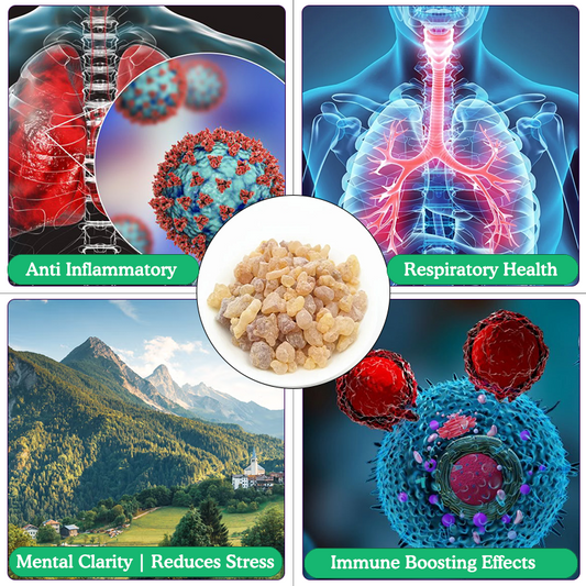 1751549251686685435a2d58254934