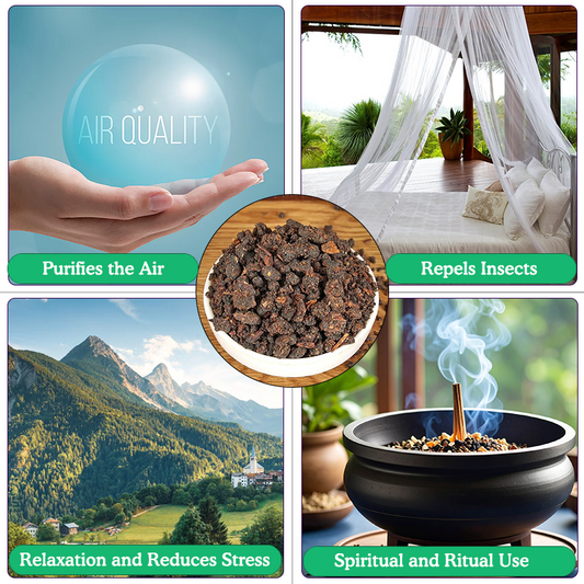 1751549436686685fc1a0d8815601